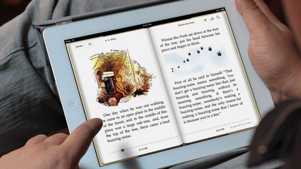 Jak korzystać z e-booka: włącz, jak czytać