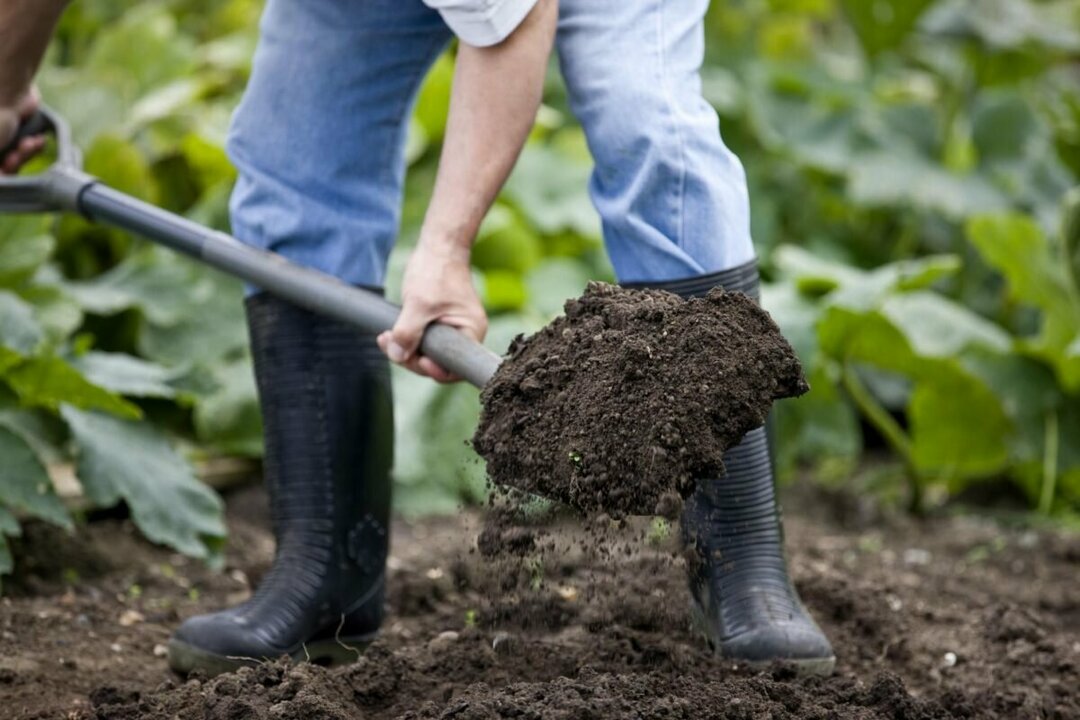 Sådan graver du jorden med en skovl: grundlæggende regler