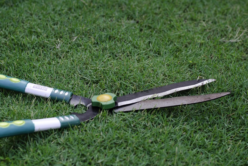 Havesaks til græsklipning: Vælg et værktøj til alle årstider – Setafi