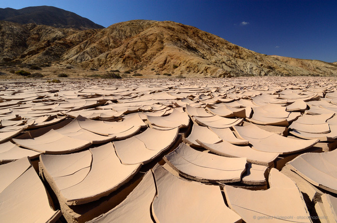 Atacama -ørkenen