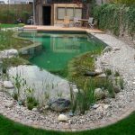 The most common mistakes when arranging a pond on a site