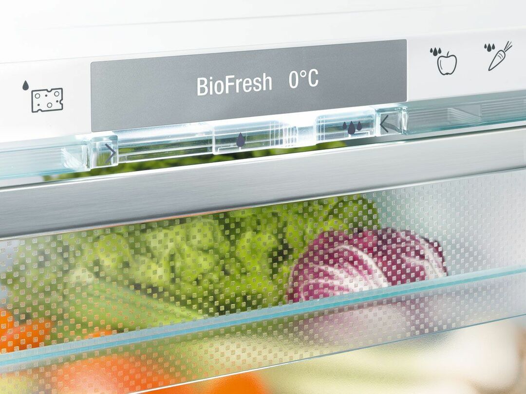 Den elektriske kretsen til kjøleskapet: enheten og prinsippet for drift av husholdningskjøleskap