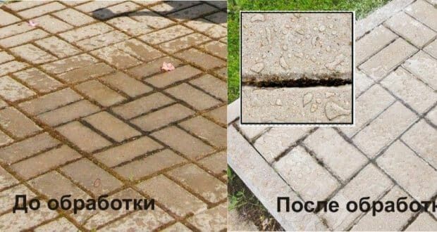Treatment of tiles with a water repellent