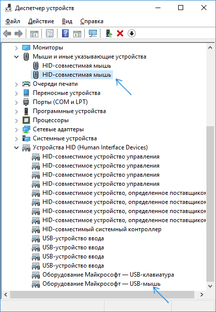 The laptop does not see the mouse: why the mouse does not connect to the laptop, what to do if the laptop does not see the mouse