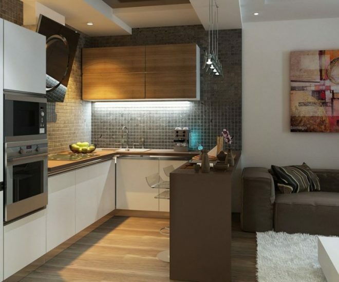 Küche Wohnzimmer 14 m²: Foto, Gestaltungsideen, Kombination