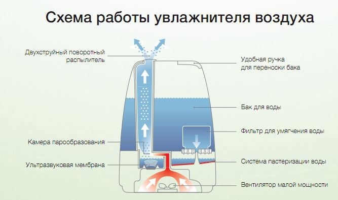 Das Funktionsprinzip eines Ultraschall-Luftbefeuchters 