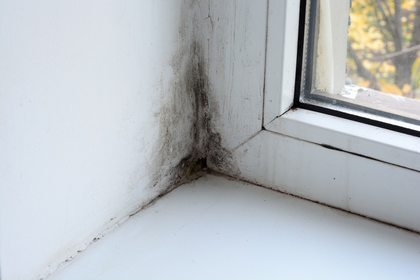 Mold due to poor air exchange