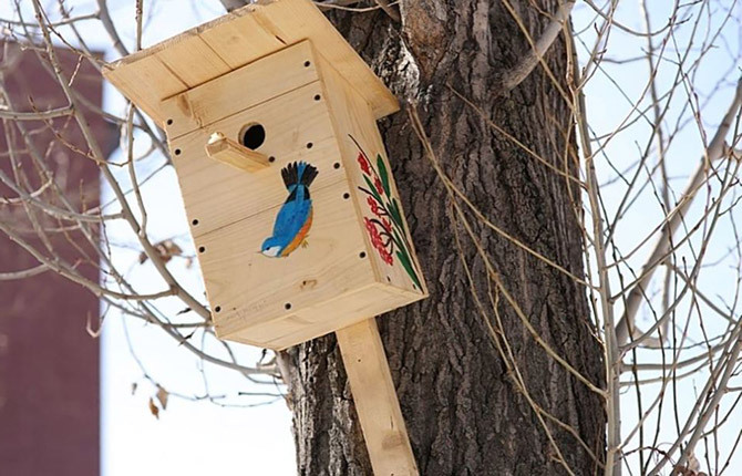 Das schlimmste Vogelhaus wird aus improvisierten Materialien hergestellt