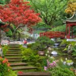 Proč si celebrity volí design zahrady v japonském stylu?