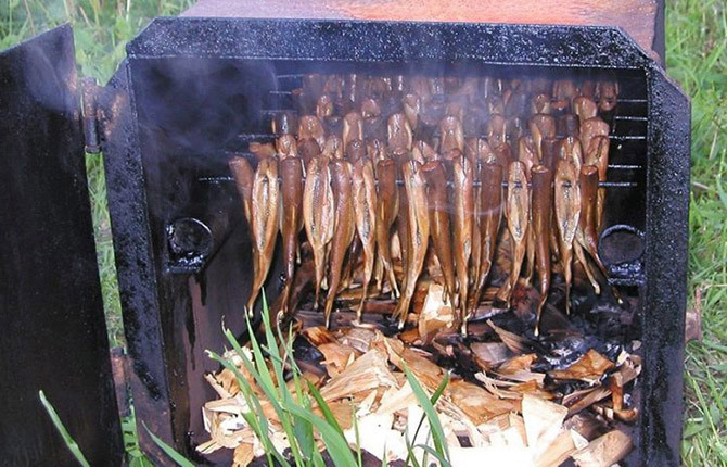 Cabinet for smoking fish