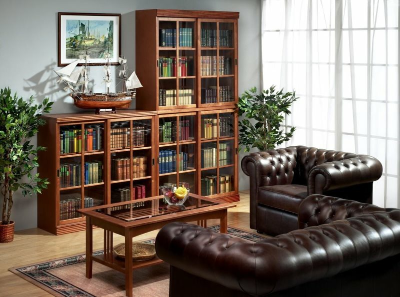 Namų biblioteka su knygų spinta