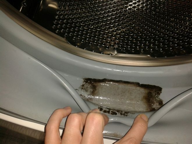 Washing machine elastic