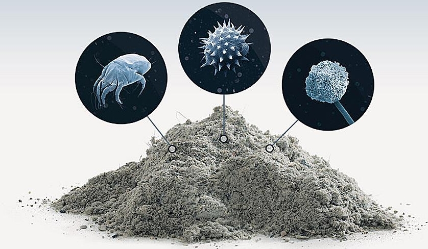 Polvere e microrganismi che vi abitano 