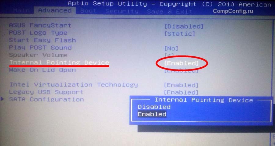 How to turn on the mouse on the laptop keyboard: system reboot, hotkey combination, special functions, BIOS