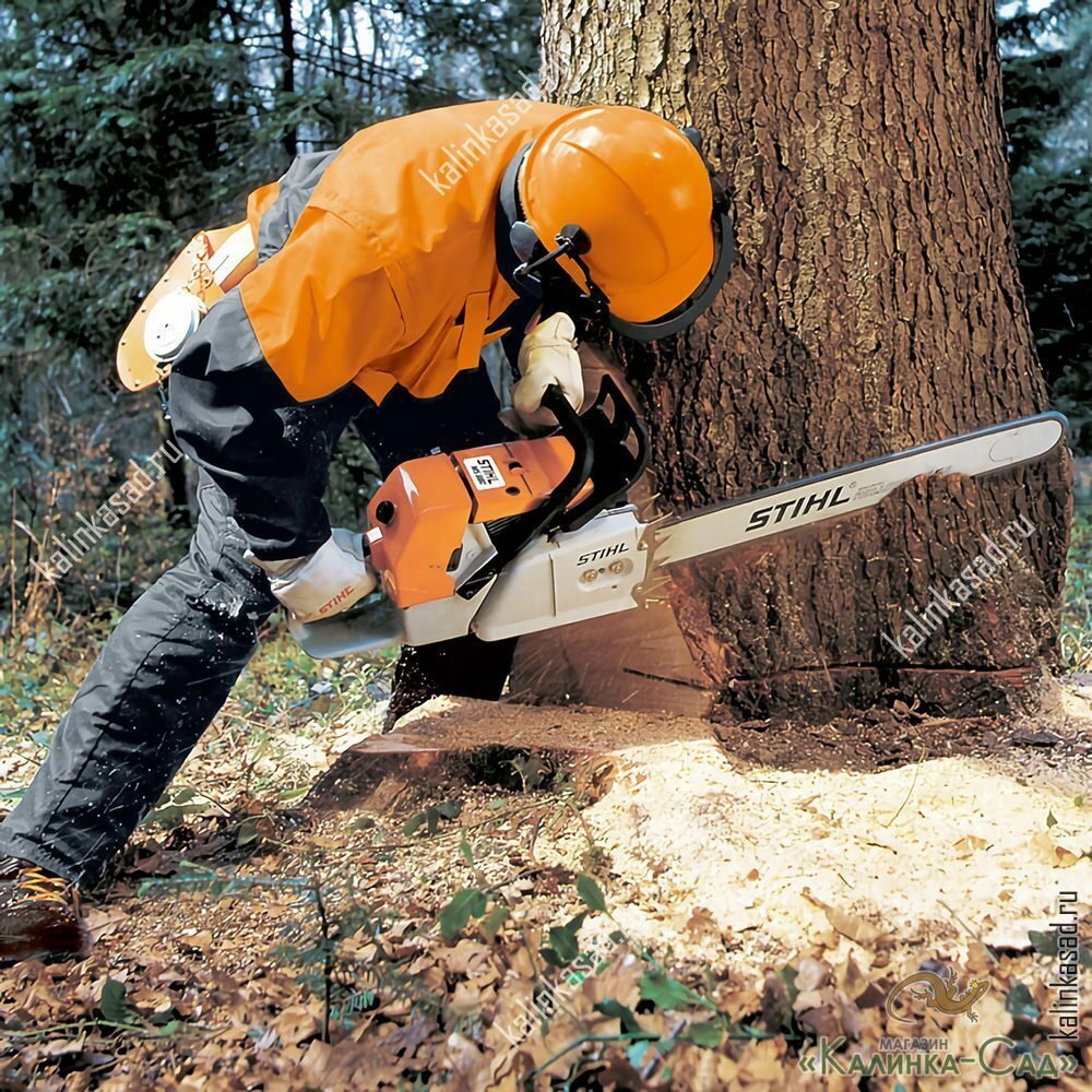 איך לכרות עץ