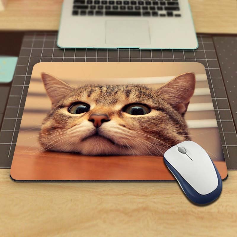 Cleaning the mouse pad