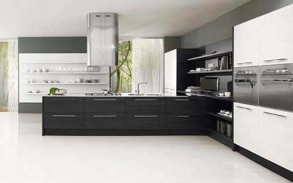 black and white kitchen in the style of minimalism