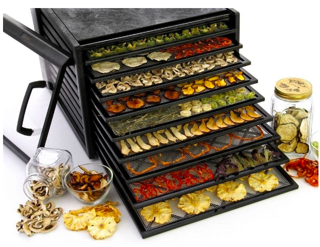 How to choose a dehydrator for vegetables and fruits: expert advice - Setafi