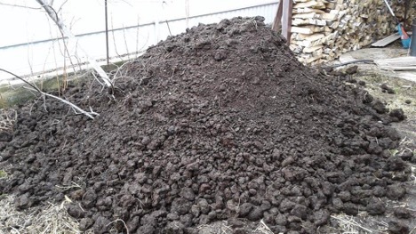 Soil for a greenhouse: how to improve and restore the soil, processing in the spring – Setafi