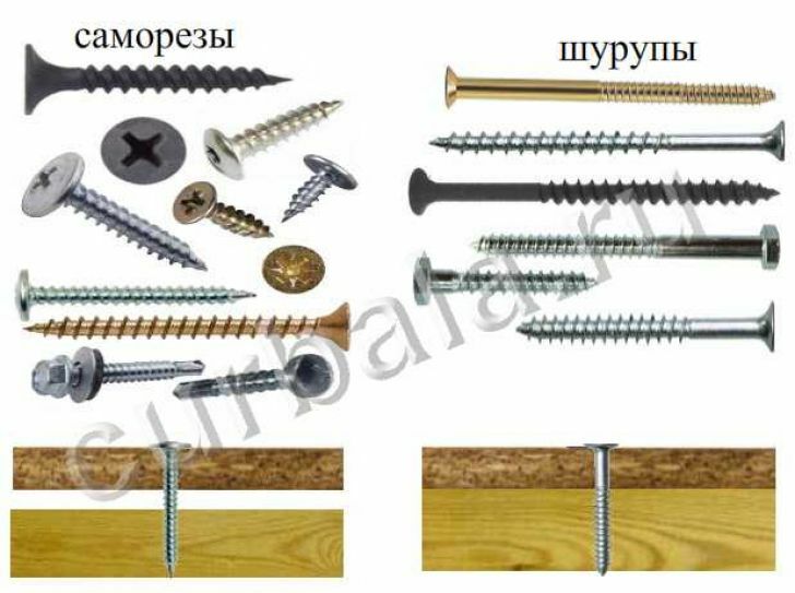 Self-tapping screws and screws