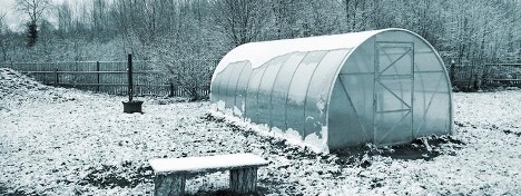 Temperature in the greenhouse: what should it be in winter without heating – Setafi