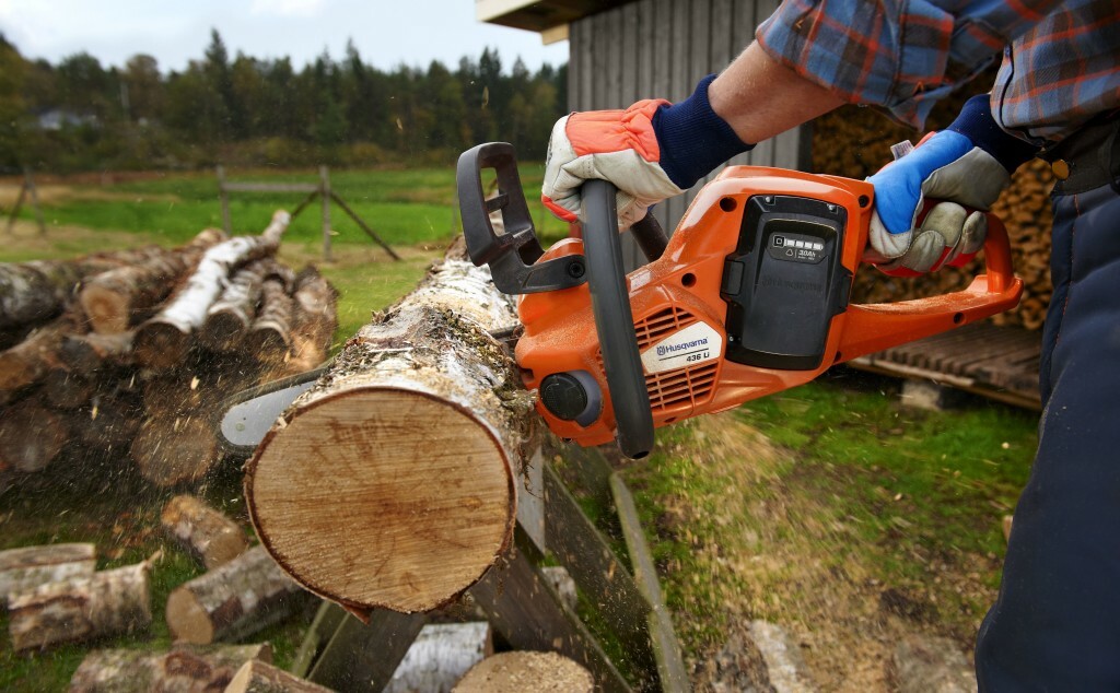 Chainsaw or electric saw, which is better for giving