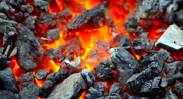 Tipos de carvão