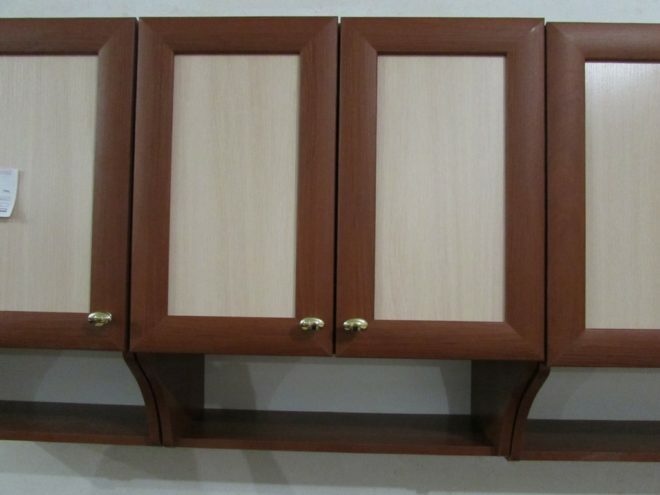 Wall-mounted kitchen cabinet