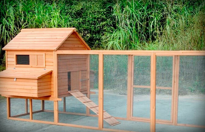 Do-it-yourself winter chicken coop in the country