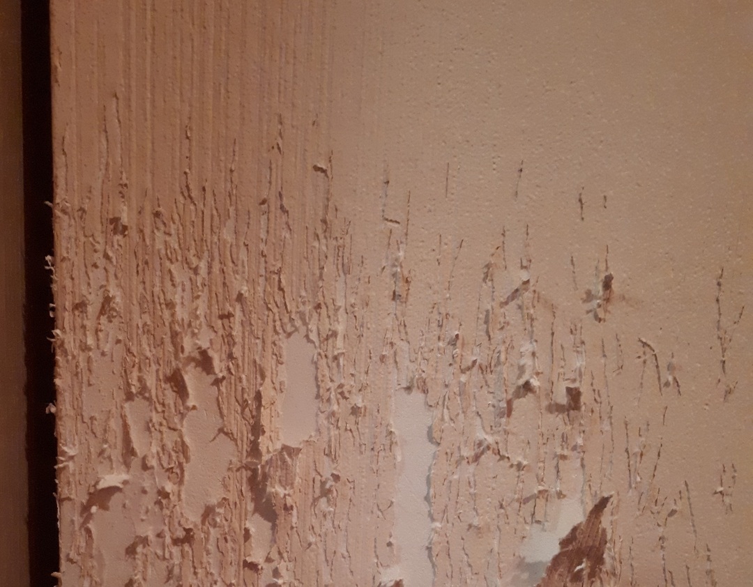 Wallpaper scratched by pets