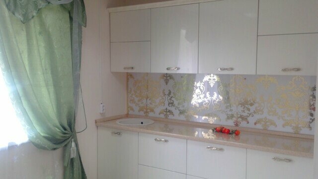 Wall panels for the kitchen