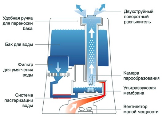 Diagramma del dispositivo ad ultrasuoni 