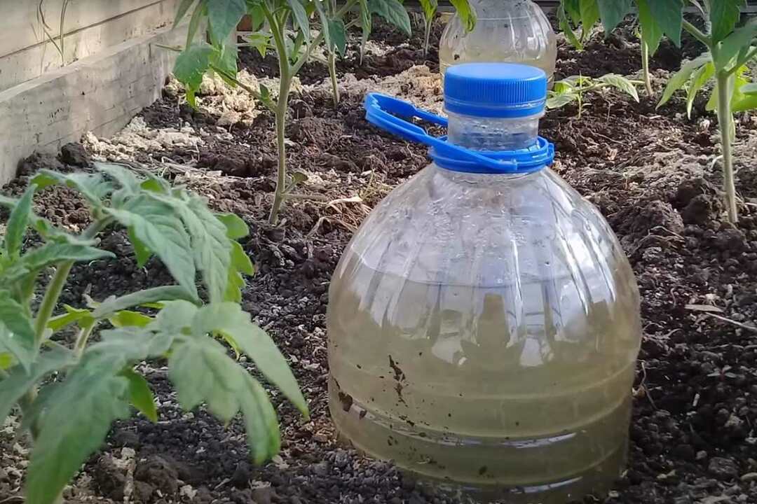 How to water the garden without a watering can, homemade options