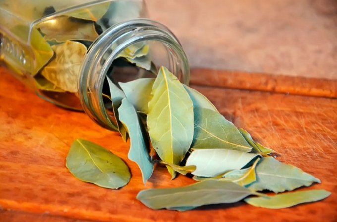 How to use bay leaf instead of air freshener