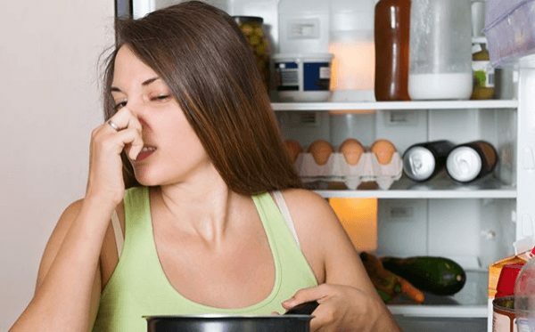 Hoe zich te ontdoen van de geur in de koelkast na rot vlees?