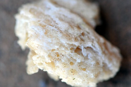fotografija starega kruha