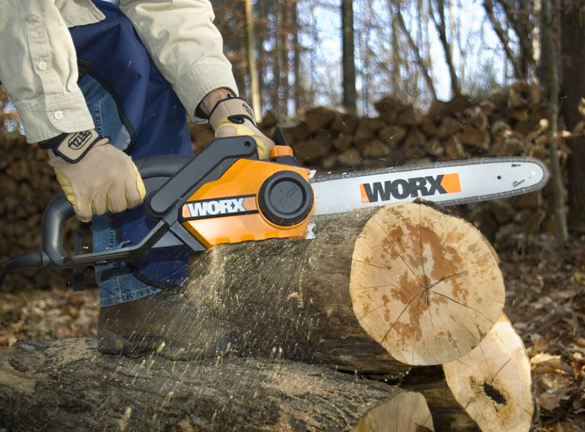 Chainsaw Break-in: Asking Professional Lumberjacks for Advice – Setafi
