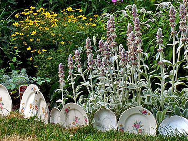 flowerbeds fence