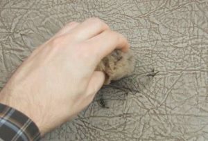 Scrub nupp nahkdiivan: kuidas puhastada sulepea kunstnahast diivanid, kuidas eemaldada diivan nahast käepide, kui pesta valge nahkdiivan