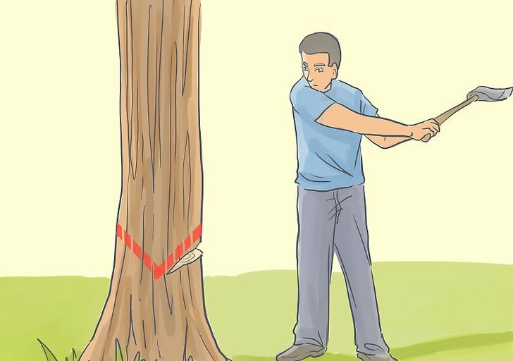 come abbattere un albero