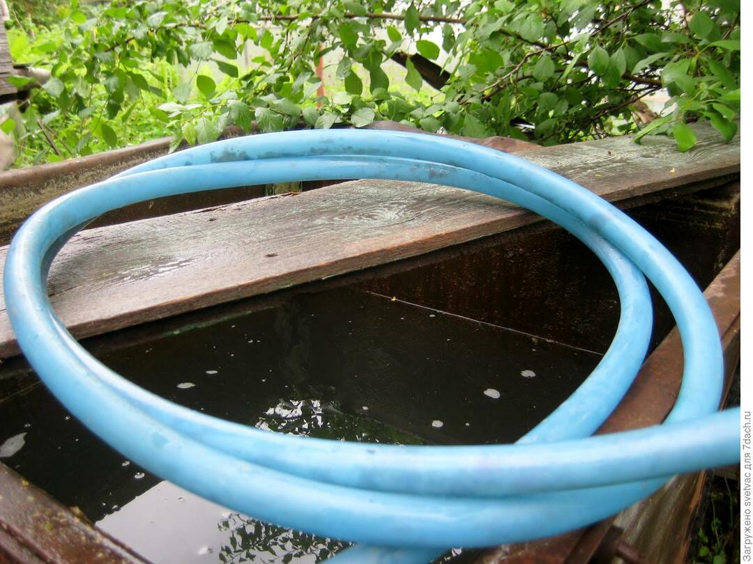 How to organize watering with a hose from a barrel: siphon method, gravity