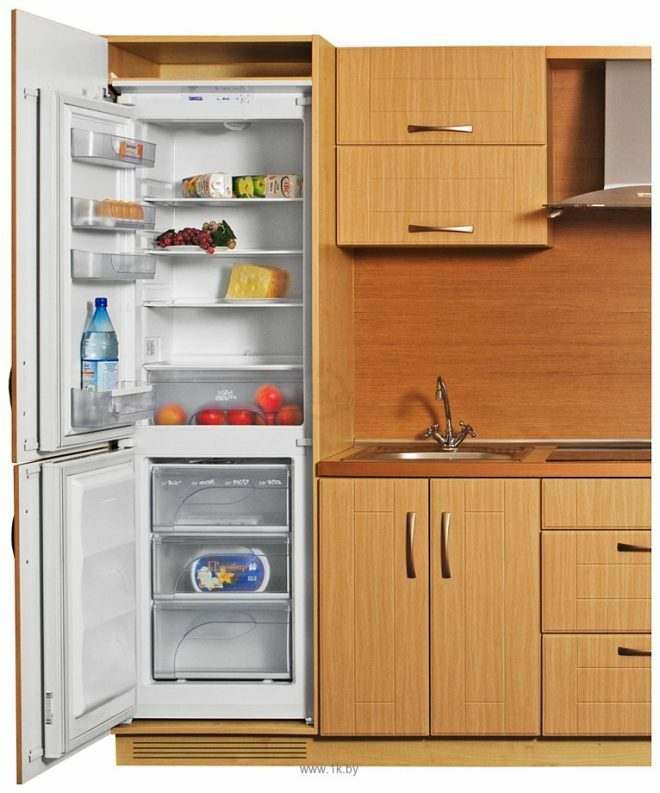 Innebygd kjøleskap: anmeldelse, vurdering av de beste modellene