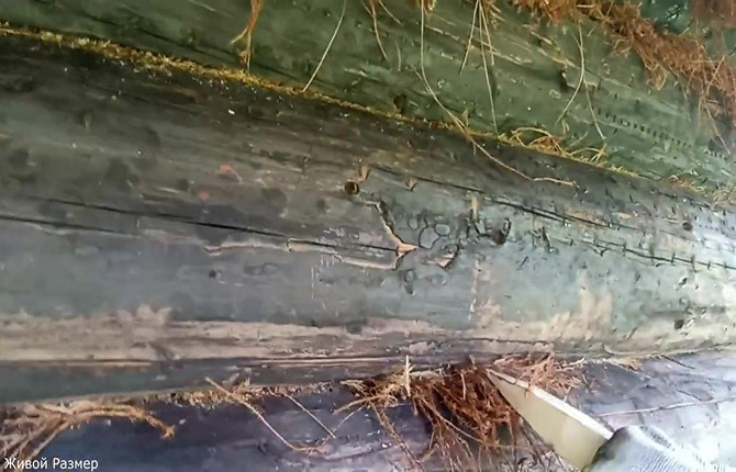 How to properly caulk a log bathhouse: methods, materials and stages of work