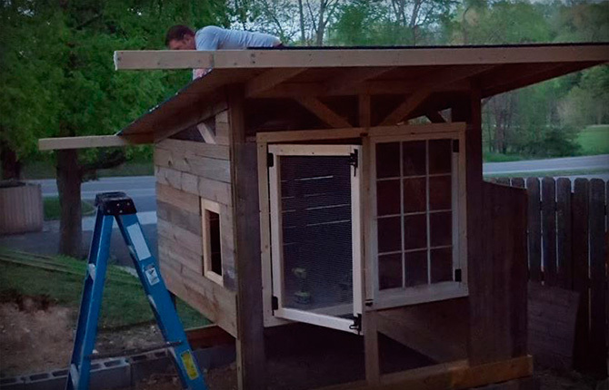 Hur man bygger ett varmt vinterkycklinghus i landet med egna händer: steg för steg instruktioner med beräkningar och ritningar