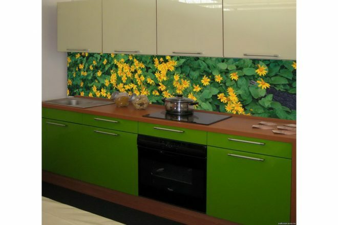 Plastic kitchen apron with vegetation